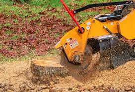 Best Lawn Irrigation Installation and Maintenance  in Eagle, ID