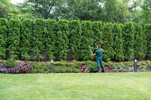 Best Aeration Services  in Eagle, ID